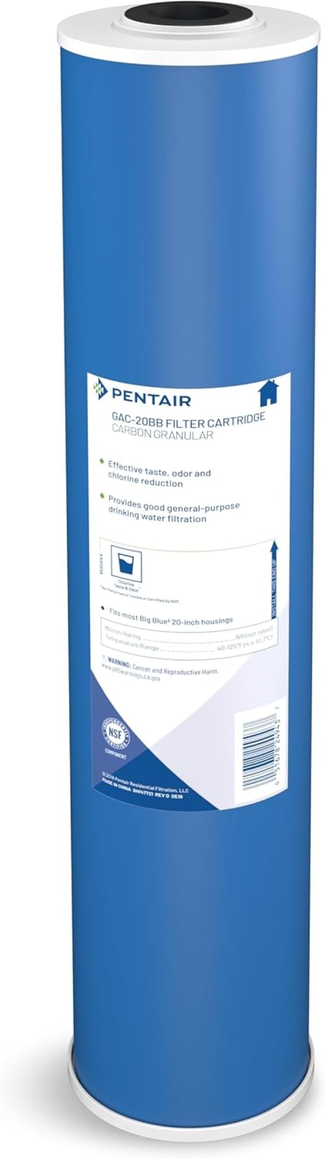 Pentek GAC-20BB cartridge closeup showing carbon media for taste and odor reduction