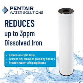 Pentek RFFE20-BB Whole-house filter system for well water use