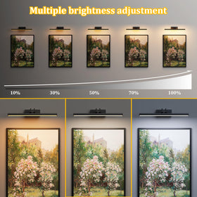 Percantis 13.8-inch coverage light perfectly illuminates medium to large art pieces.