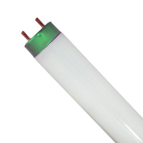 Philips 479634 32W T8 4ft 5000K bulb for natural daylight in offices