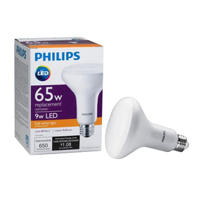 Philips BR30 LED bulb dimmable 2700K for adjustable ambiance.