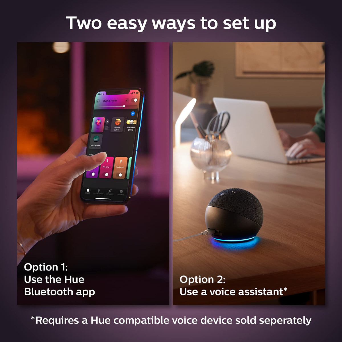 Philips Hue 1600 lumen brightness ideal for living rooms.