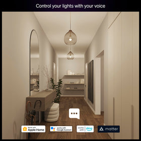 Philips Hue app scene library for personalized lighting routines.