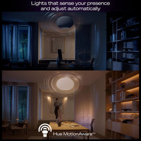 Hue app interface illustrating voice assistant compatibility