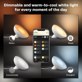 Philips Hue Bloom setup with voice control via assistants.