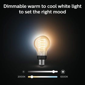 Philips Hue filament bulb installed in a decorative lamp