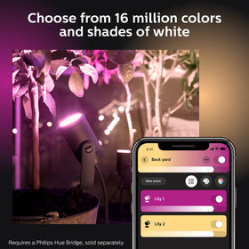Philips Hue Lily requires Hue Bridge to unlock automations and remote control