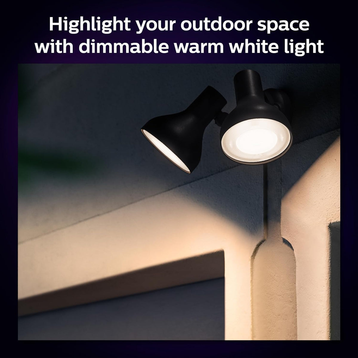 Philips Hue outdoor lighting supports voice control for convenience.