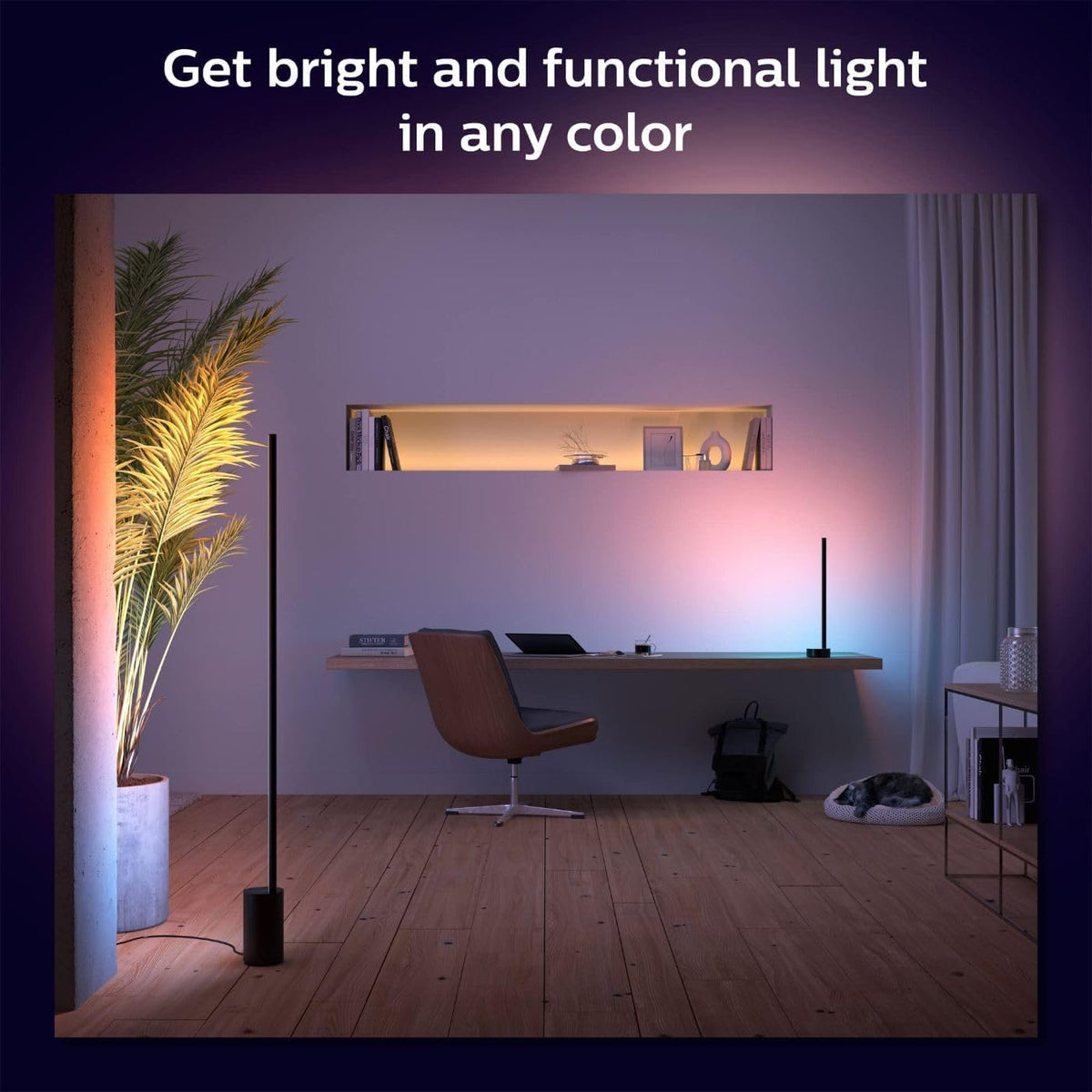 Philips Hue Signe gradient lamp with voice control setup via app