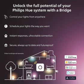 Philips Hue Bridge setup with Solo lightstrip for automation