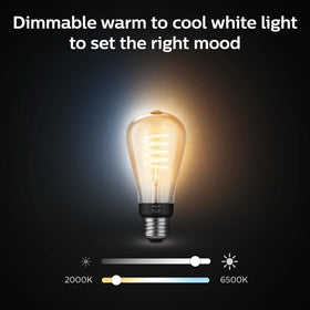 Philips Hue ST19 dimmable LED light for adjustable brightness