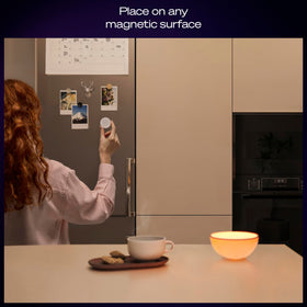 Adhesive mount with magnetic backing for versatile placement.