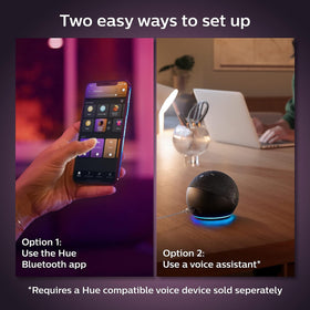 Voice control with Alexa and Google Assistant for hands-free lighting management.