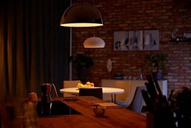 Not compatible with Philips Hue systems.