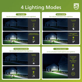 Philips LED security light IP65 waterproof for all-weather durability.