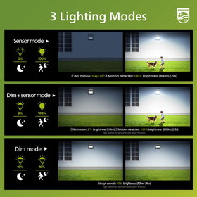 Philips Solar Security Light mounted on wall demonstrates easy, wiring-free installation
