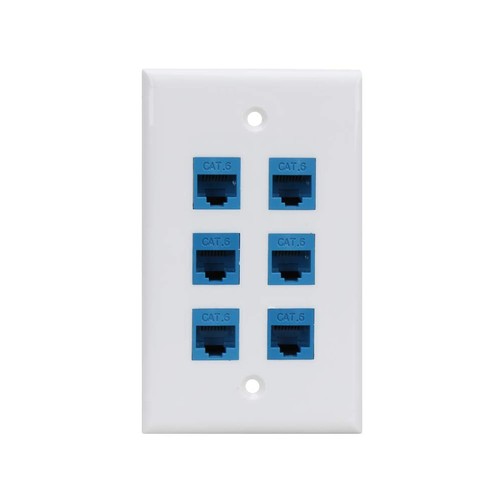 Phizli Cat6 wall plate blue front view for clean cable management