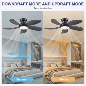 PHORUS LED light with dimmable 3 CCT for customizable ambience.