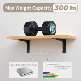 PICESA heavy-duty bracket demonstrates high load capacity for tools.