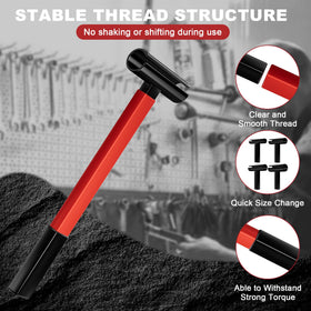Picura hinge-adjuster storage case keeps heads organized.