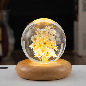 Pletmin Daisy Gifts daisy crystal ball night light with warm glow for cozy rooms.