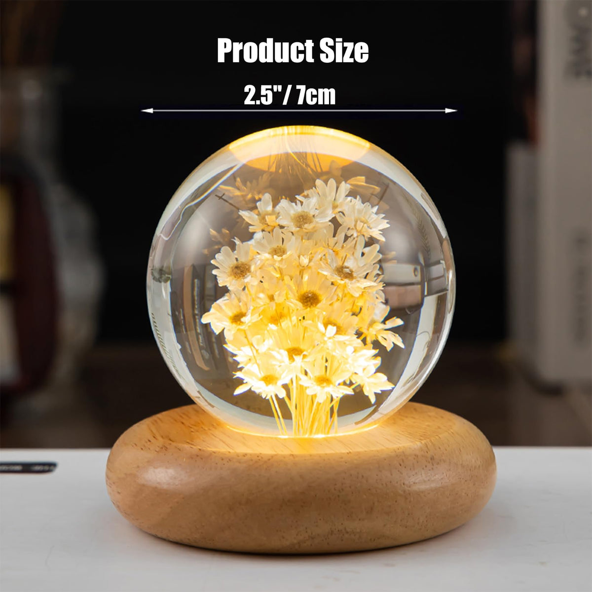 Pletmin real daisy in resin captures delicate petals for timeless decor.