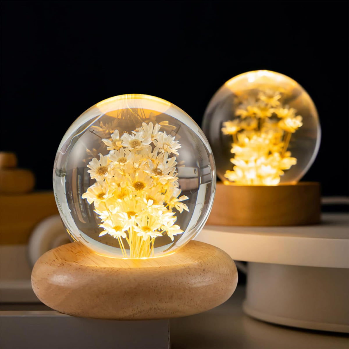 Pletmin Daisy Gifts wooden base lamp showcasing real daisy under glass.
