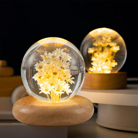 Pletmin Daisy Gifts wooden base lamp showcasing real daisy under glass.