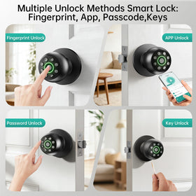 PLOLRELM keypad access control panel enables secure multi-method entry.