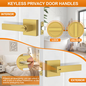 Plustool keyless privacy leverset demonstrates silent twist and secure privacy feature.