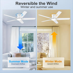 POCHFAN dimmable LED light with adjustable brightness for mood lighting
