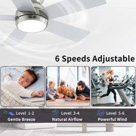 POCHFAN durable metal housing and blades for stable performance.