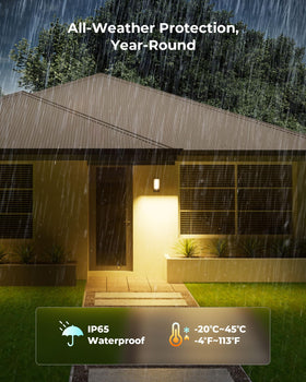 PopoIron adjustable head allows 270° vertical, 150° horizontal tilt.