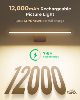 PopoIron art light highlighting a painting with true color rendering.