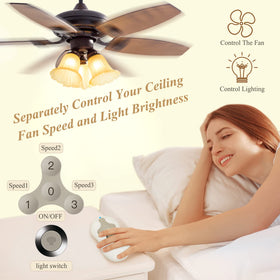 Prichor 3-speed remote control provides convenient fan speed adjustments.