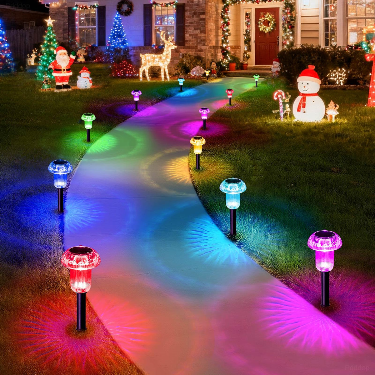 Priddop outdoor-landscape-lighting enhances yard aesthetics with simple placement.
