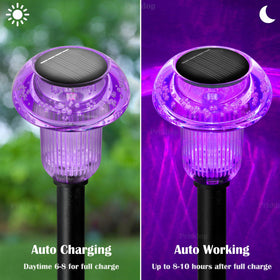 Priddop purple LED mushroom light brightens dusk walkway