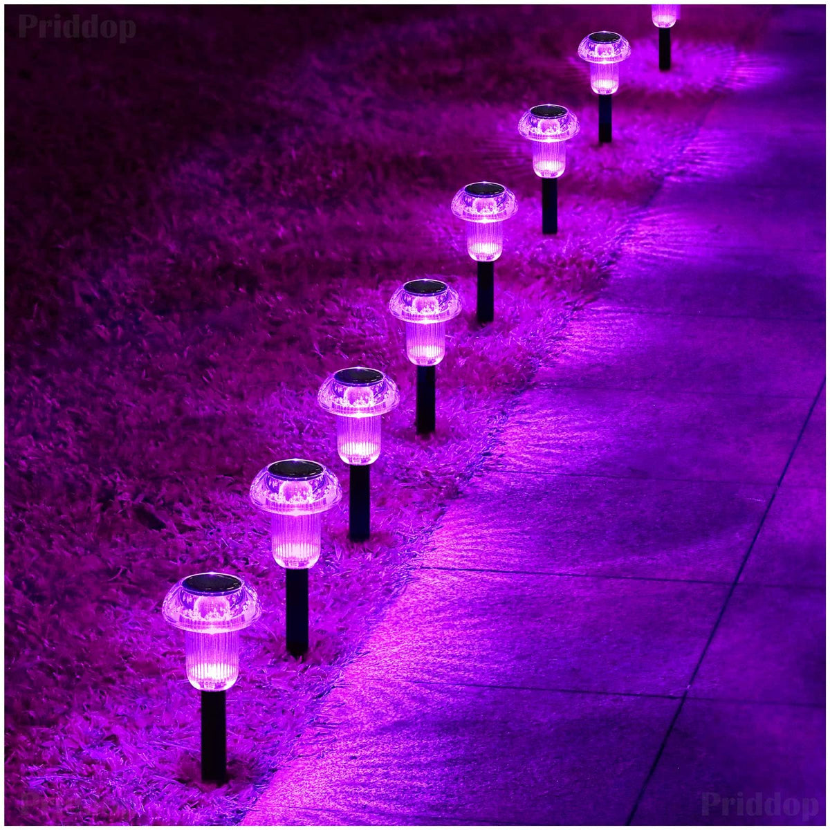 Priddop solar lights offer energy-efficient outdoor ambiance