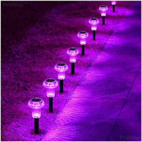 Priddop solar lights offer energy-efficient outdoor ambiance