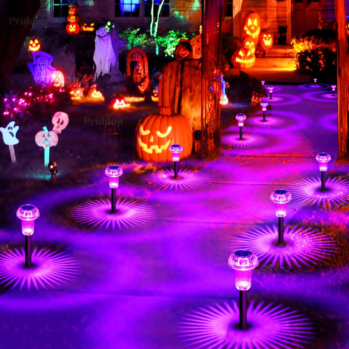 Priddop 8-pack purple lights highlight borders and patios