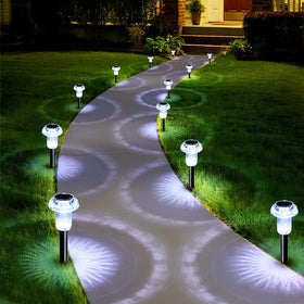 Priddop solar pathway lights illuminate garden borders for safe nighttime visibility.
