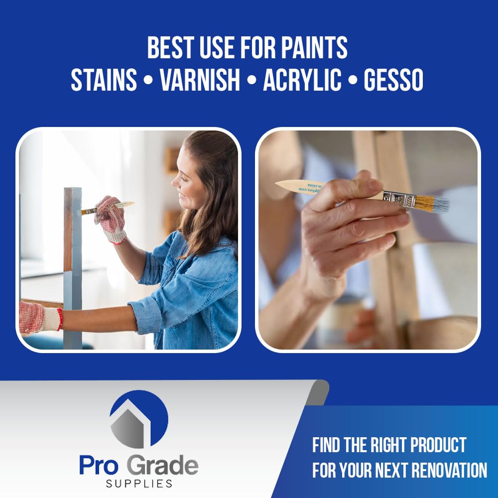 Pro Grade disposable pack image for convenient bulk painting tasks.