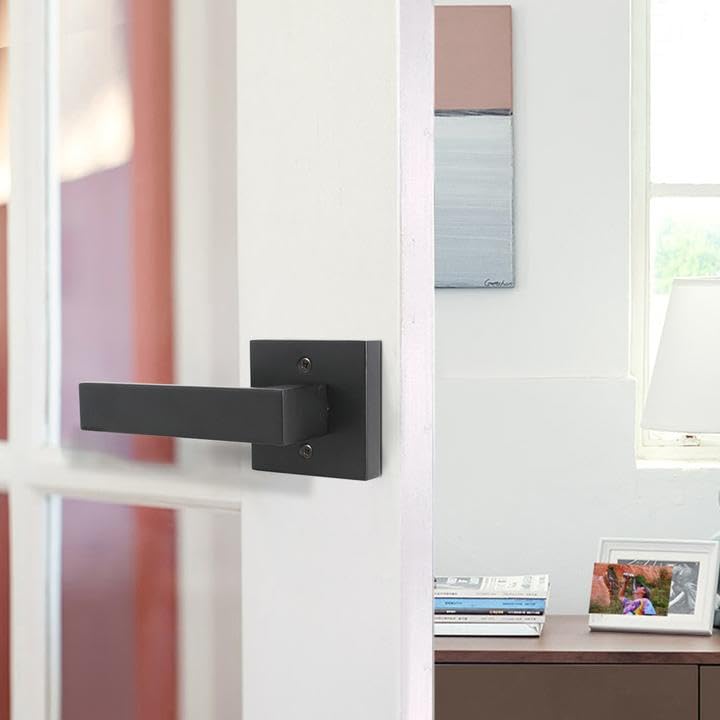 Probrico dummy lever installs inside and outside for interior décor and quick swaps
