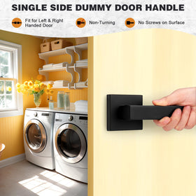Probrico dummy lever enhances contemporary interior décor