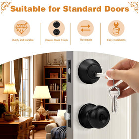 Probrico flat black 3-pack lock set, inside view for easy access.