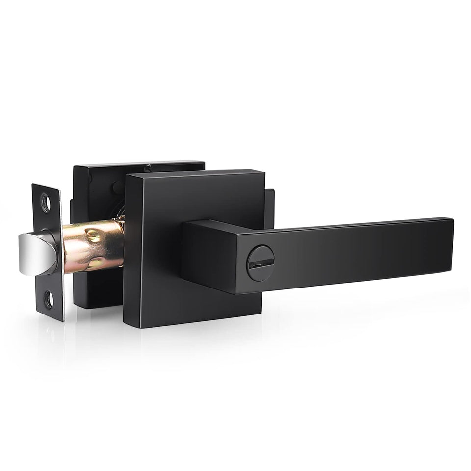 Probrico square matte black door handle front view for modern aesthetics