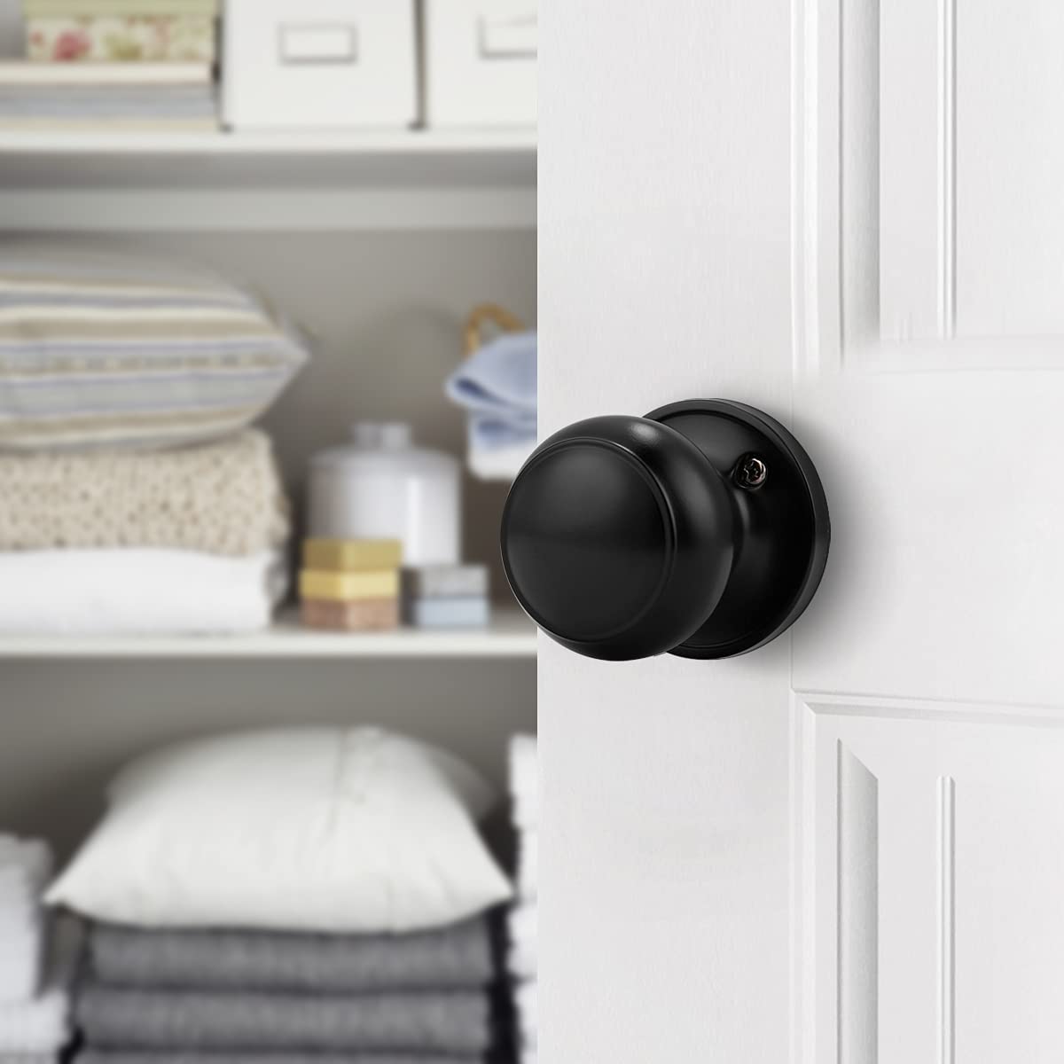 Probrico stainless steel black dummy knob with corrosion resistant finish.
