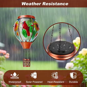 Profinella eco-friendly solar light powered by daytime sun