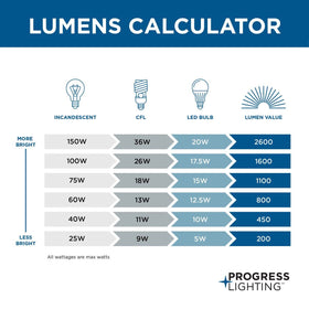 Progress Lighting flush-mount design suitable for hallways and bedrooms with simple installation.