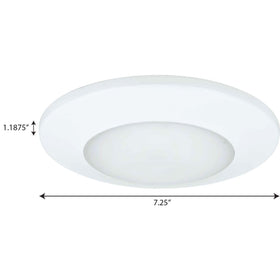 Progress Lighting P8222-28-30K LED flush mount is rated for wet locations.
